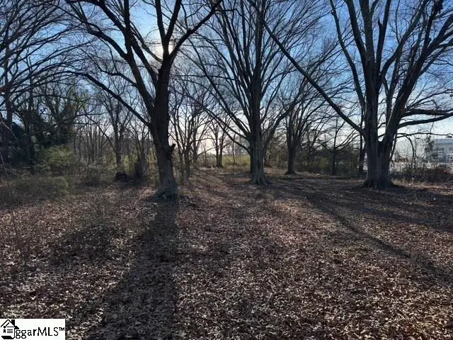 Dewberry Road, Spartanburg, SC 29307 - #3