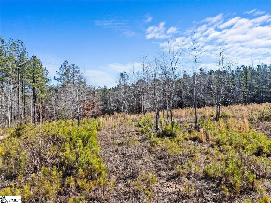 2125 Hwy 247, Belton, SC 29627 - #2