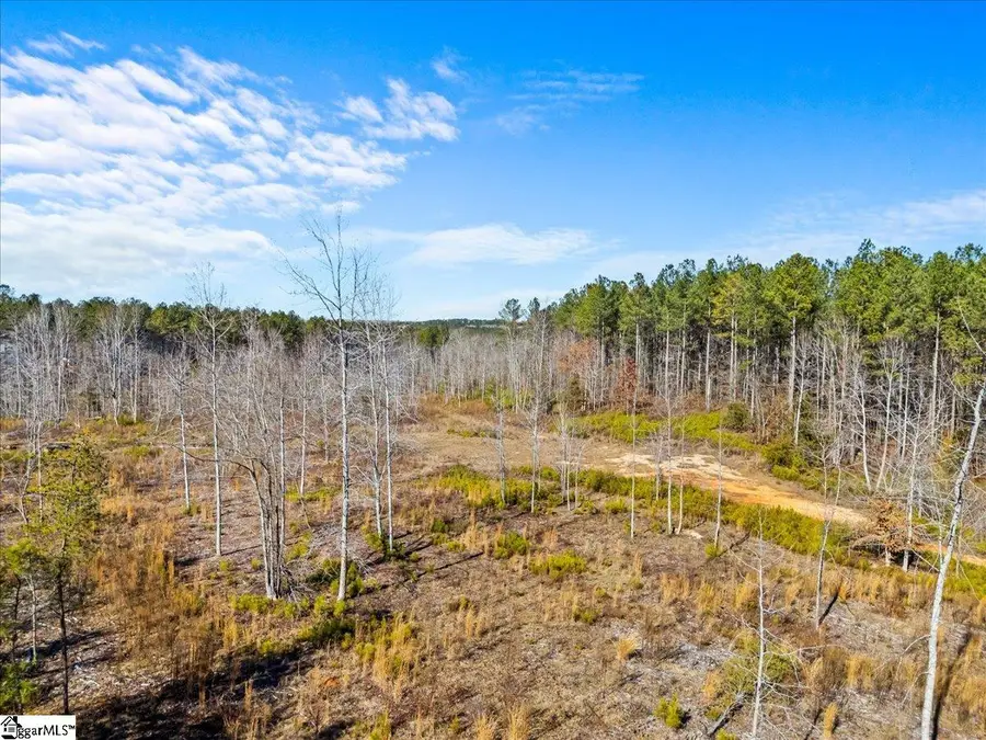 2125 Hwy 247, Belton, SC 29627 - #3