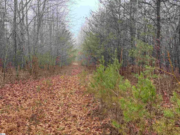 Lot B Hwy 414, Landrum, SC 29356