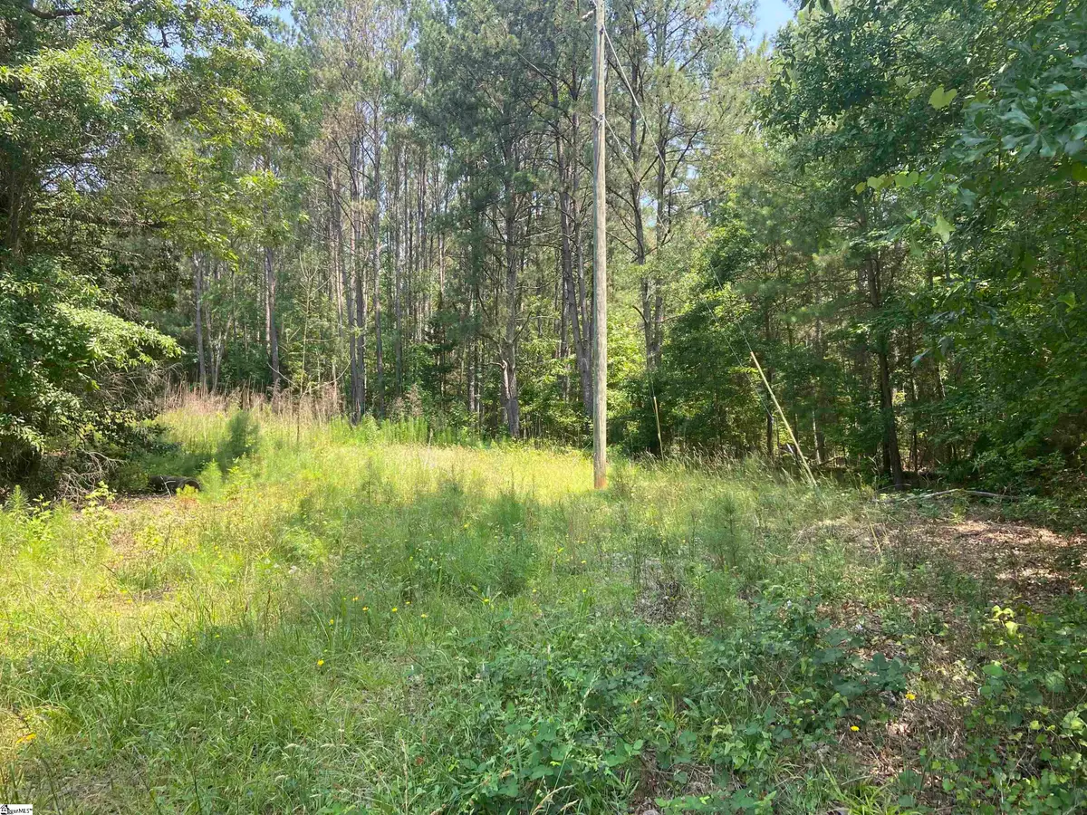 Terry Shop Road, Fountain Inn, SC 29644-9175 - #1