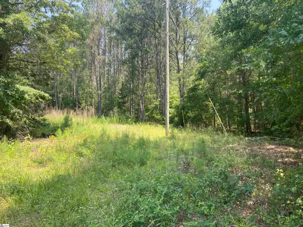 Terry Shop Road, Fountain Inn, SC 29644-9175