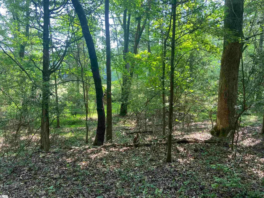 Terry Shop Road, Fountain Inn, SC 29644-9175 - #2