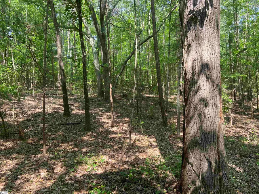 Terry Shop Road, Fountain Inn, SC 29644-9175 - #3