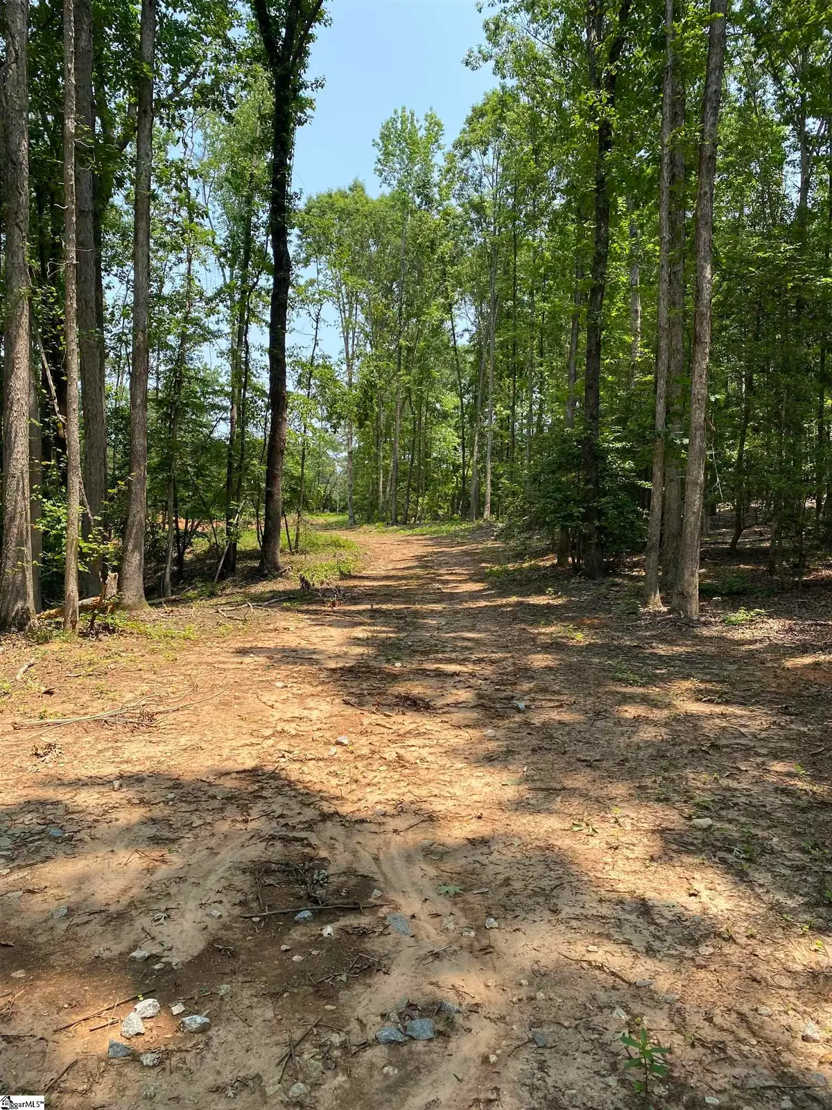 213 Gerald Drive, Simpsonville, SC 29681 - #1