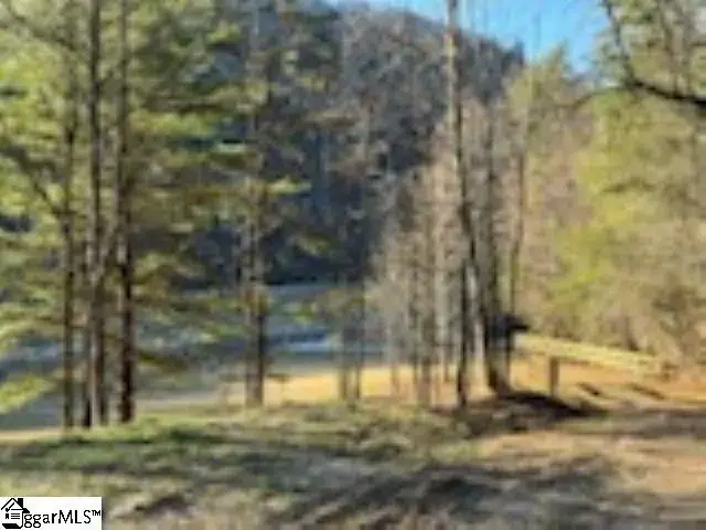 0 Green River Road, Zirconia, NC 28790 - #3