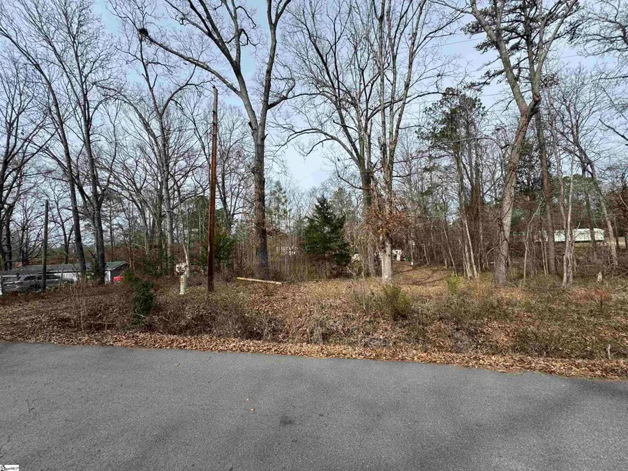 148 Douglas Road, Waterloo, SC 29384 - #3