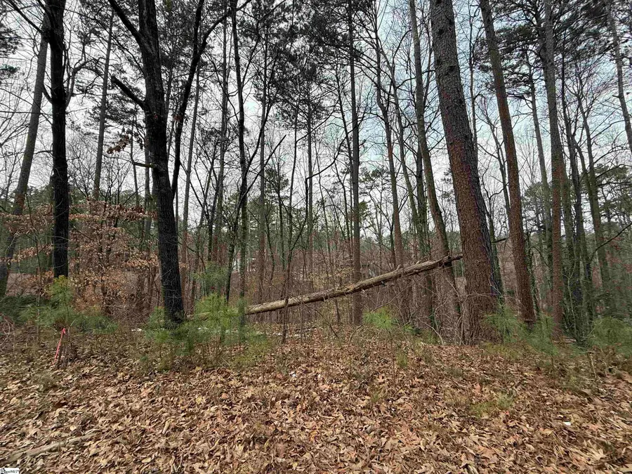 462 Foxfire Court, Seneca, SC 29672 - #2