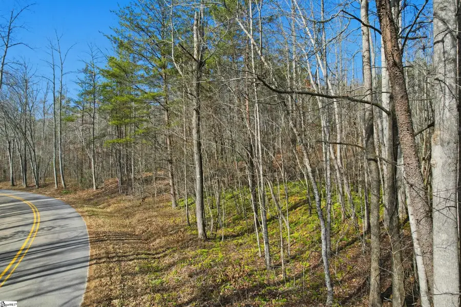 0 Country Creek Drive, Pickens, SC 29671 - #3