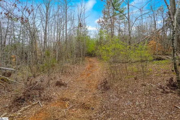0000028a Tubbs Mountain Road, Travelers Rest, SC 29690