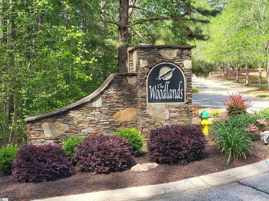 121 Laurel Valley Way, Travelers Rest, SC 29690 - #2