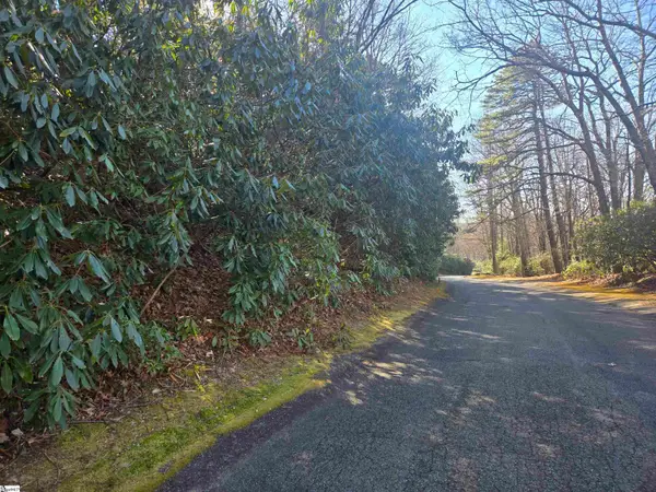 616 Cliff Ridge Drive, Cleveland, SC 29635