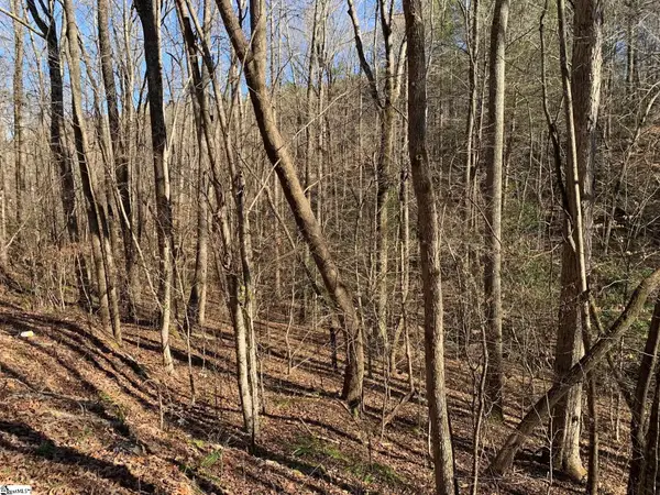 157 Saw Mill Road, Marietta, SC 29661