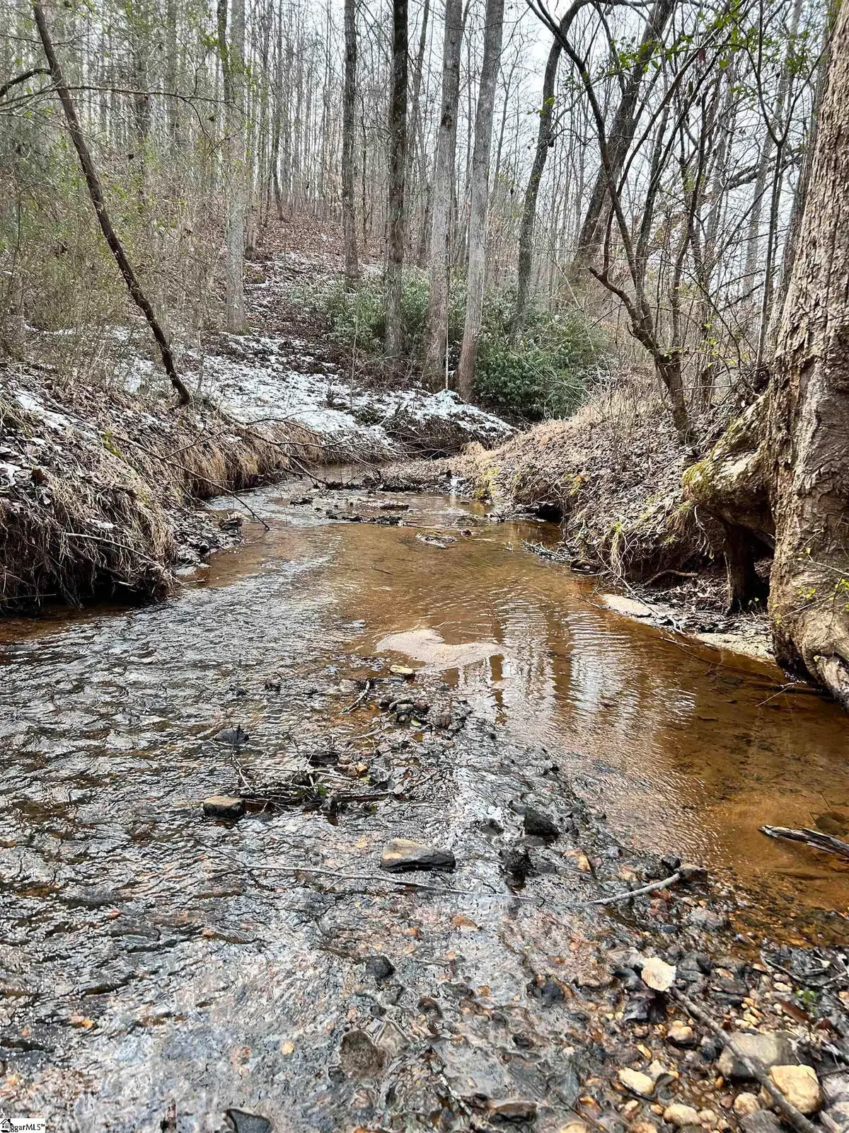 509 Crowe Creek Road, Six Mile, SC 29682 - #1