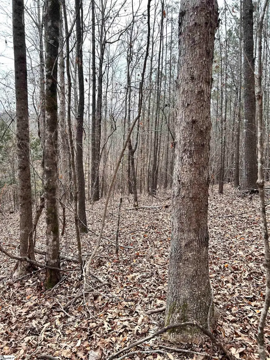 509 Crowe Creek Road, Six Mile, SC 29682 - #2