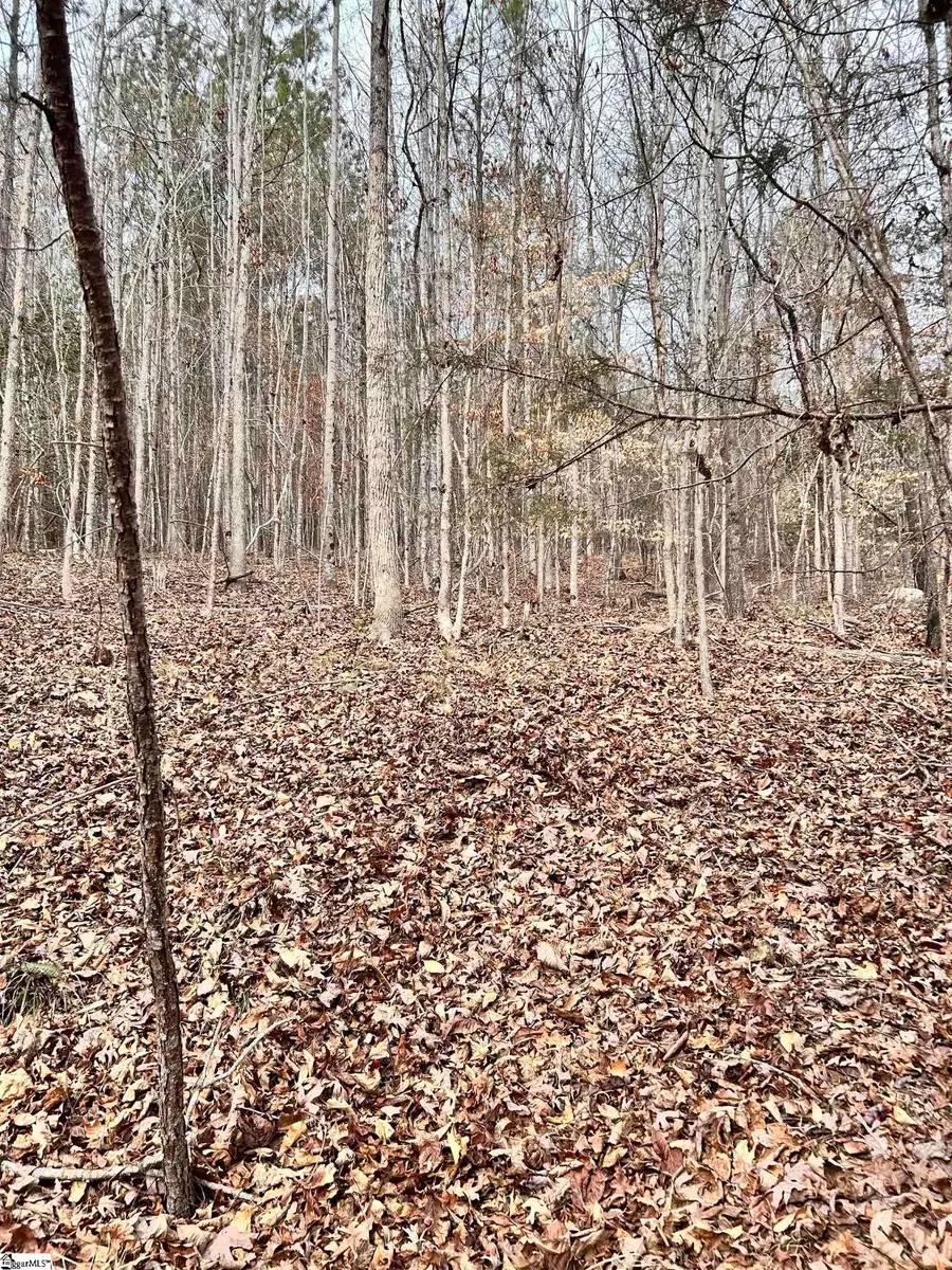 509 Crowe Creek Road, Six Mile, SC 29682 - #3