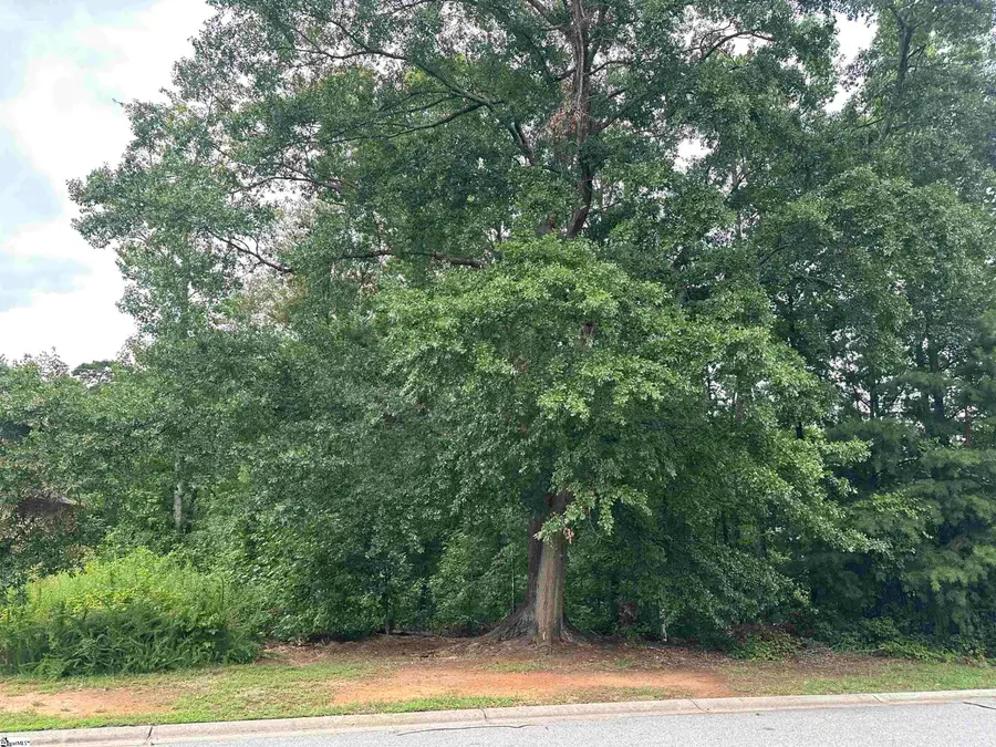 304 Chamblee Boulevard, Greenville, SC 29615 - #2