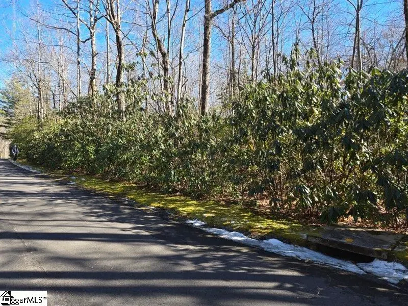 108 Hemlock Trail, Cleveland, SC 29635 - #2