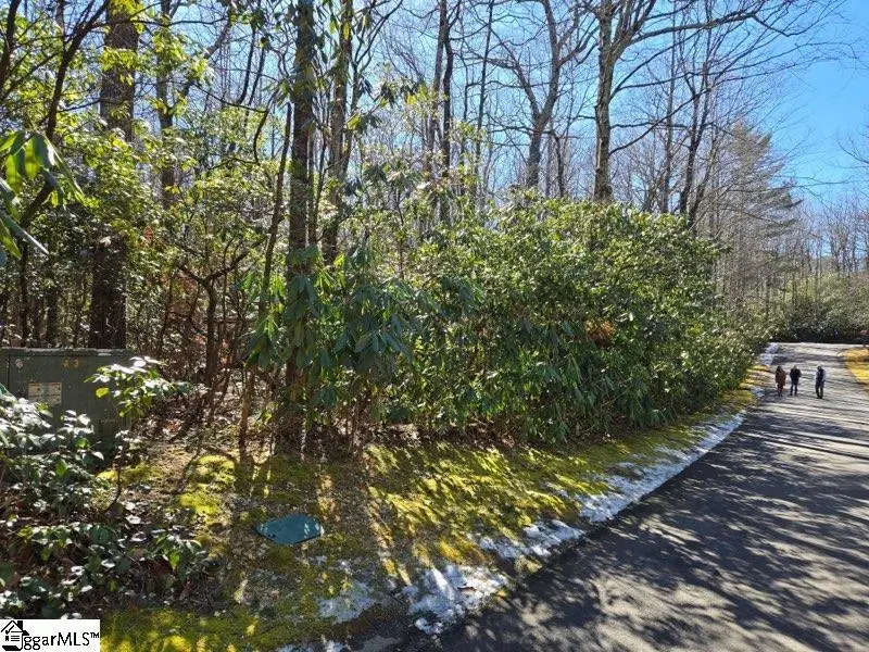 108 Hemlock Trail, Cleveland, SC 29635 - #3