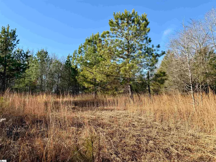 00 Neely Ferry Road, Laurens, SC 29360 - #3