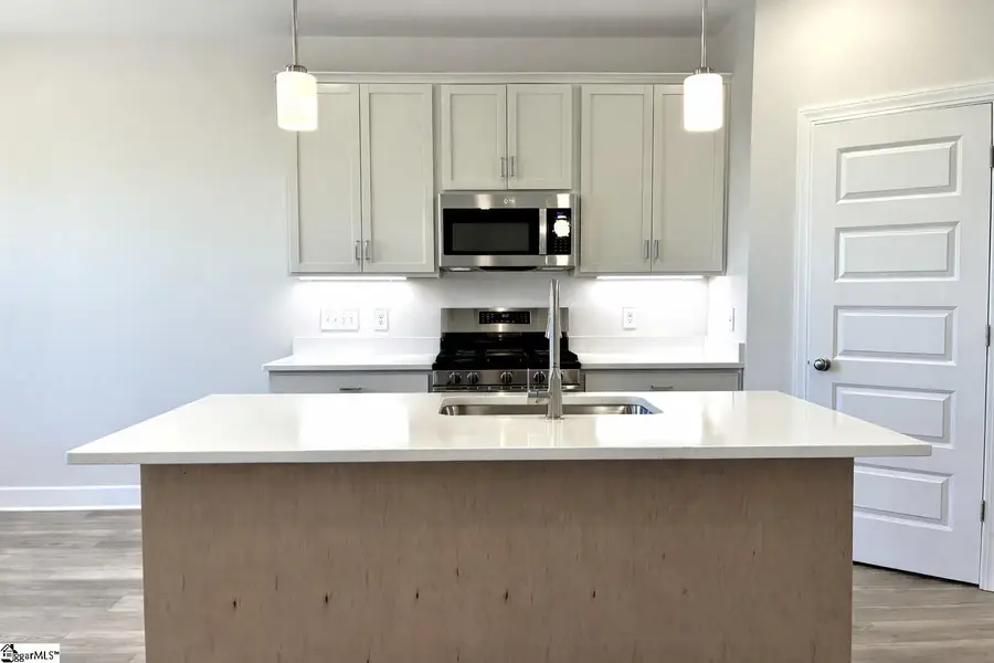 308 Blaine Court, Greenville, SC 29607 - #2