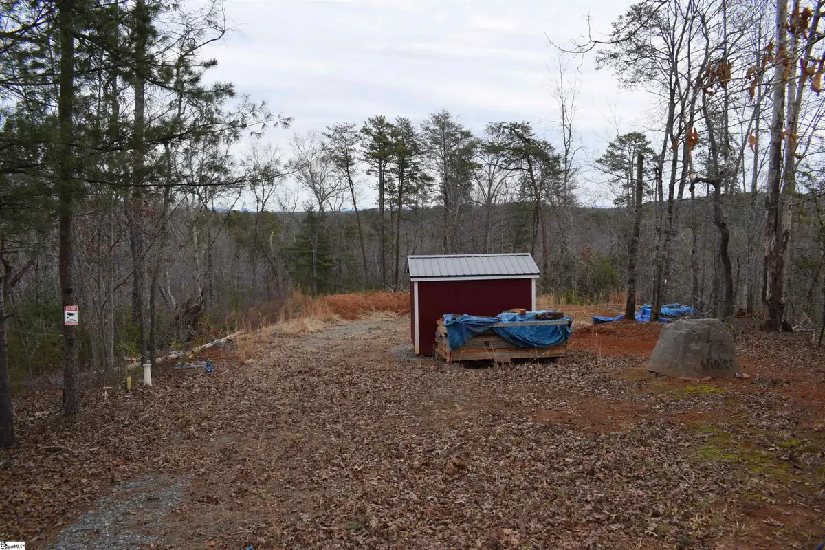 172 Winter Lane, Mill Spring, NC 28756 - #1