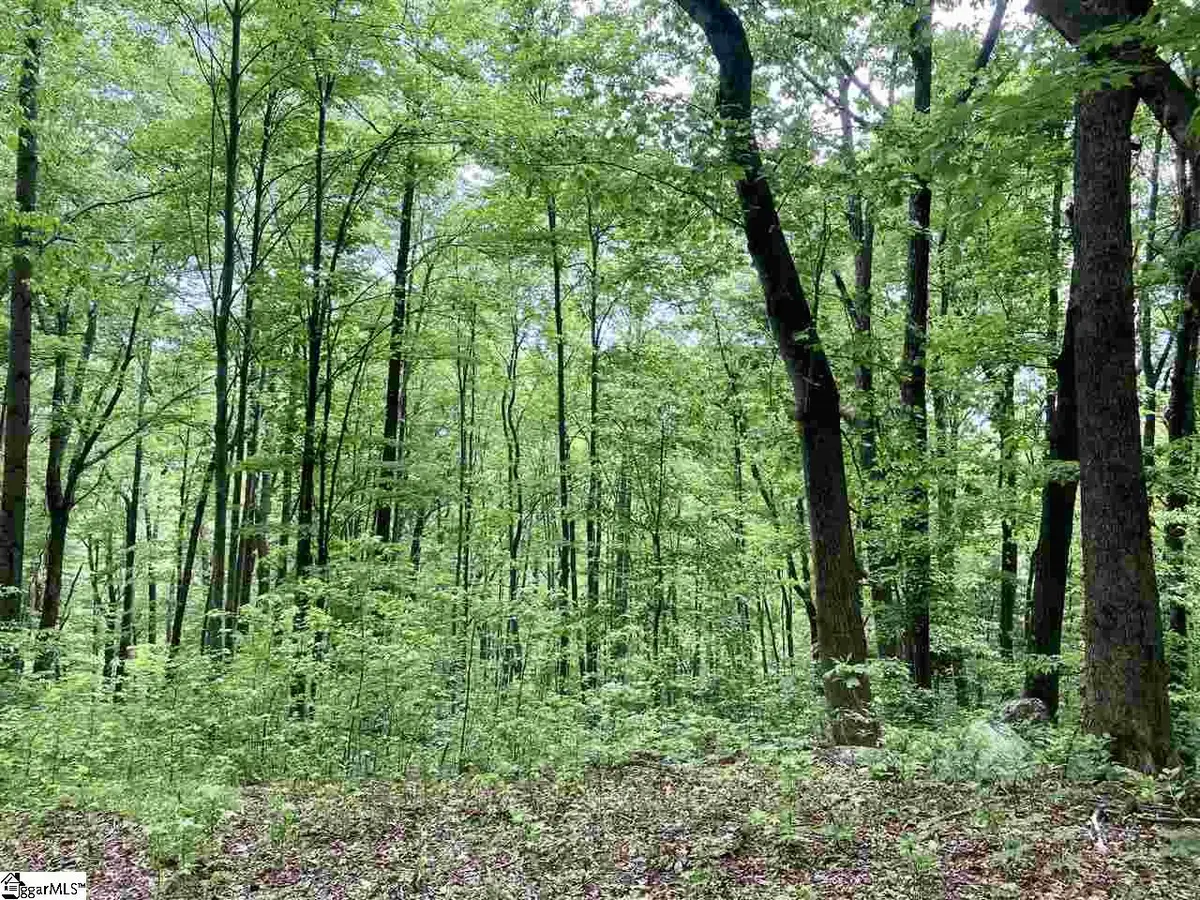 1334 Panther Park Trail, Travelers Rest, SC 29690 - #1