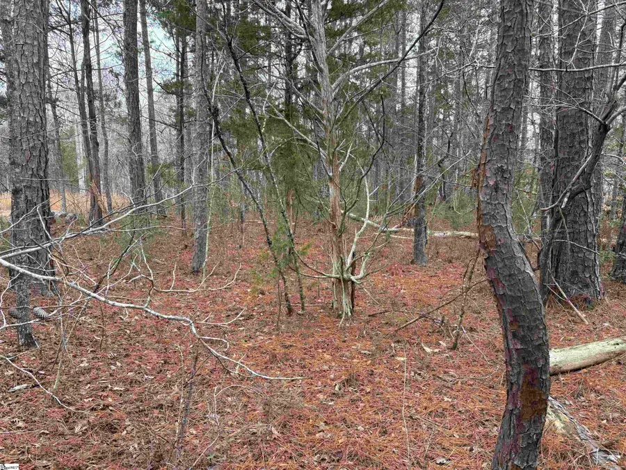 Lot 133 River Oaks Drive, Iva, SC 29628 - #3