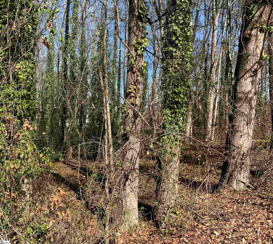 00 Cox Avenue, Anderson, SC 29621 - #3