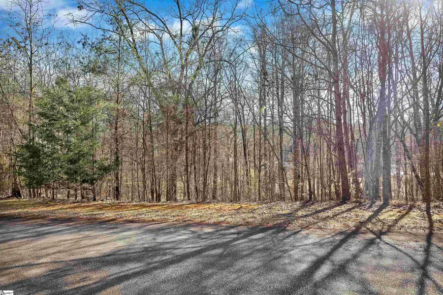 1100 Bay Drive, Fair Play, SC 29643 - #3