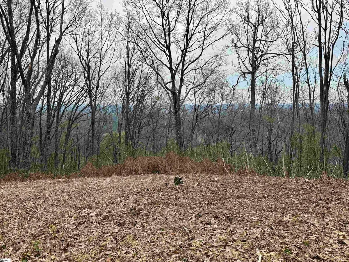 206 Eagle Rock Road, Landrum, SC 29356 - #1