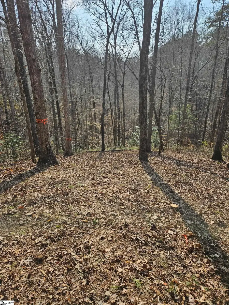 Lot 43 Deerchase Court, Salem, SC 29676 - #2