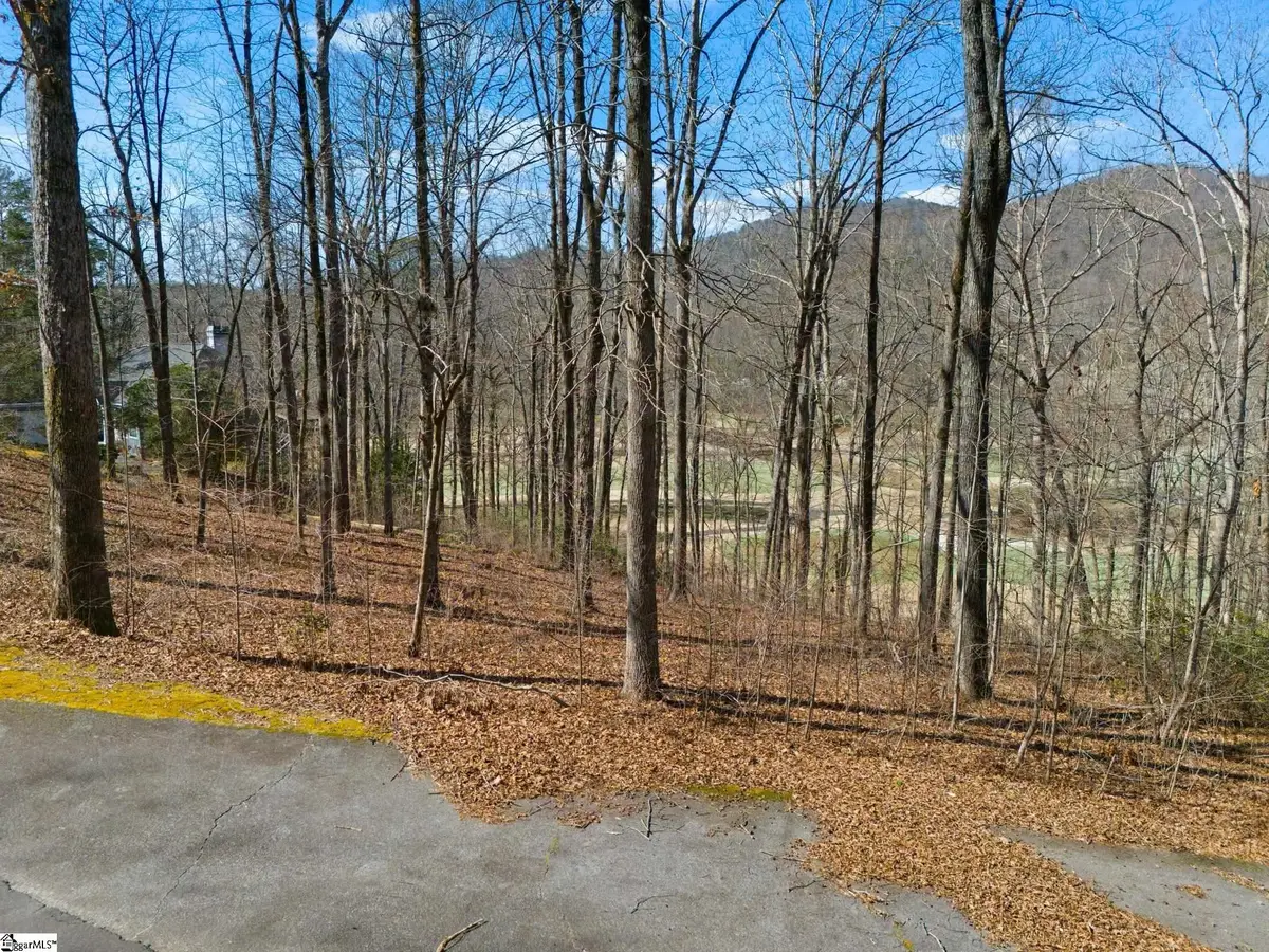 111 Foxboro Road, Travelers Rest, SC 29690 - #1