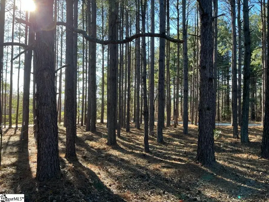 Address Withheld By Seller, Campobello, SC 29322-8023 - #3