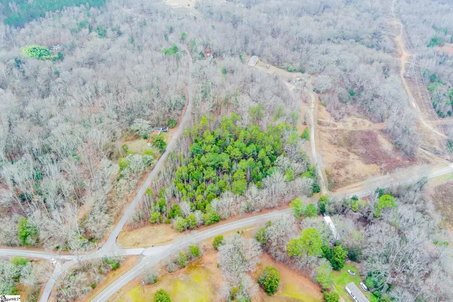 00 Baynes Creek Road, Gray Court, SC 29645 - #3