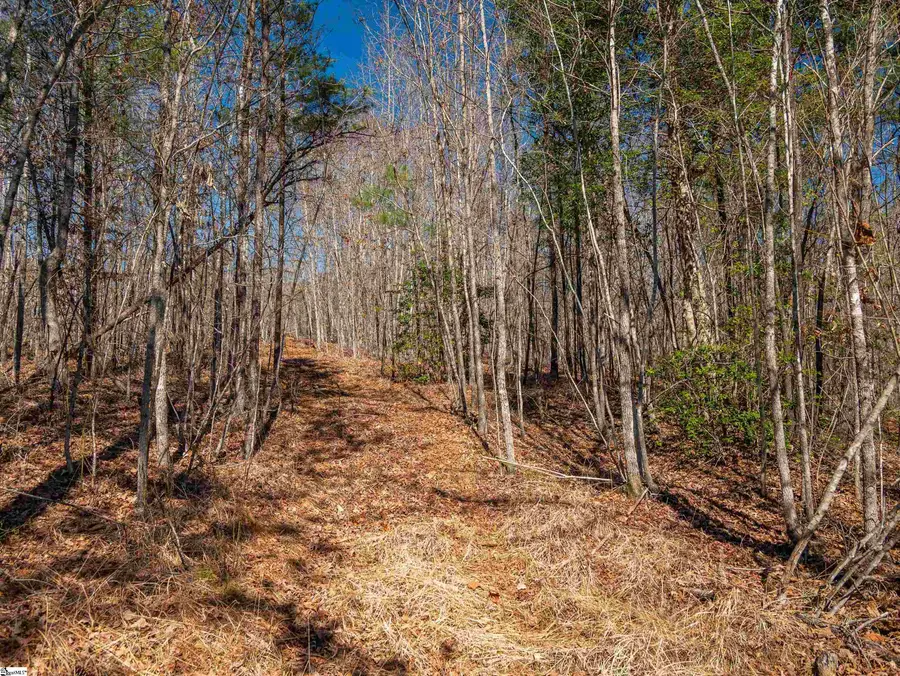 00 Crowe Creek Road #Lot C, Six Mile, SC 29682 - #3