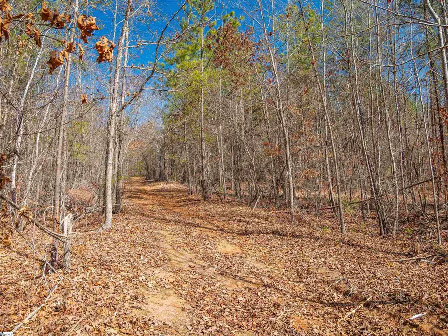 00 Crowe Creek Road #Lot E, Six Mile, SC 29682 - #2