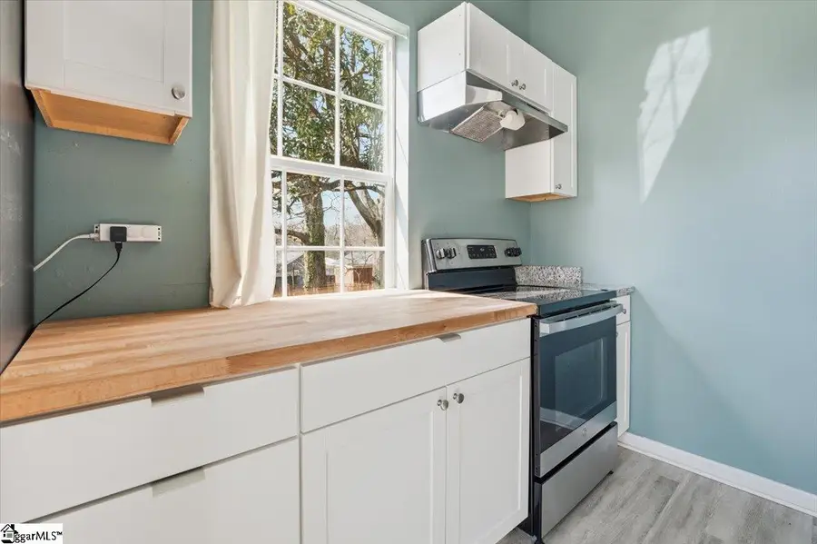 303 Bailey Street, Greenville, SC 29609 - #2