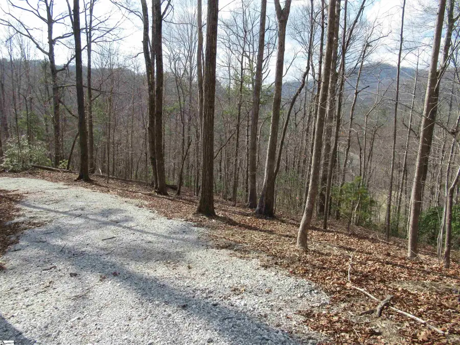 Belvoir Drive #Lots 31 and 32, Pickens, SC 29671-2 - #2