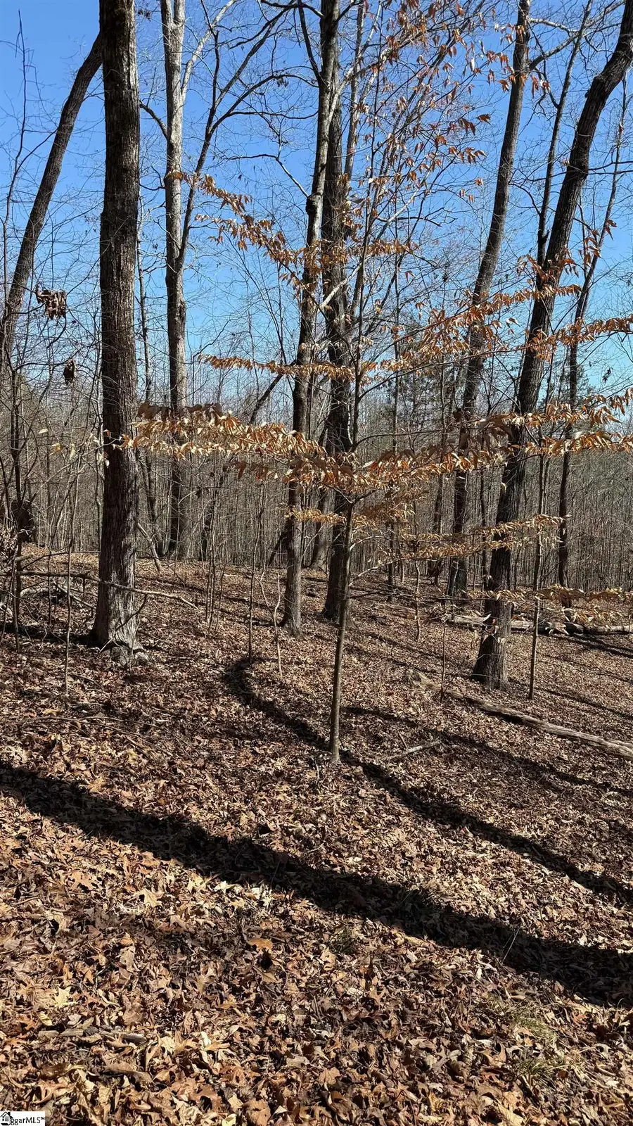 Address Withheld By Seller, Fair Play, SC 29643 - #2