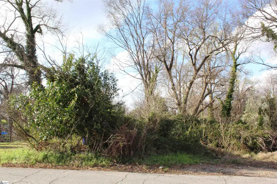 31 E Main Street, Greenville, SC 29611 - #3