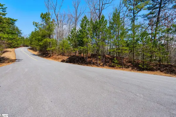 223 Logan Ridge Run, Sunset, SC 29685