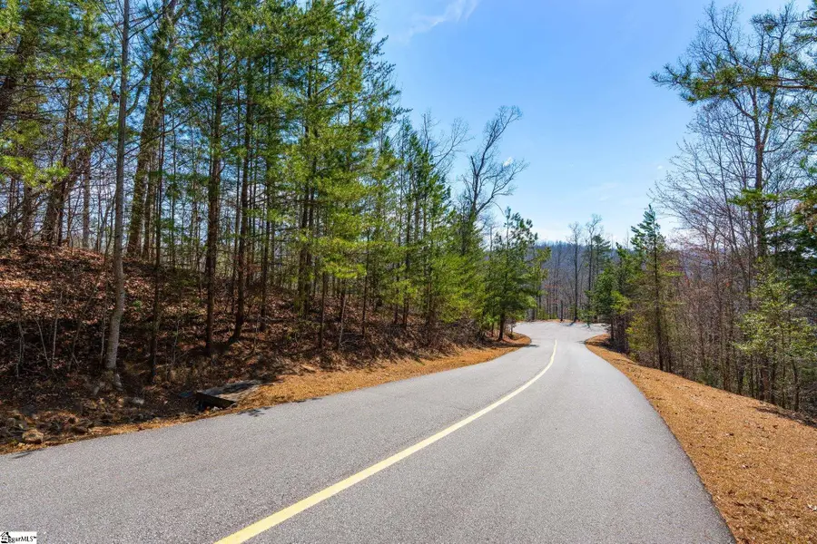 223 Logan Ridge Run, Sunset, SC 29685 - #2