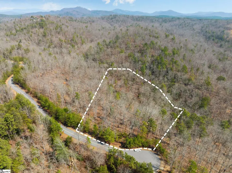 223 Logan Ridge Run, Sunset, SC 29685 - #3