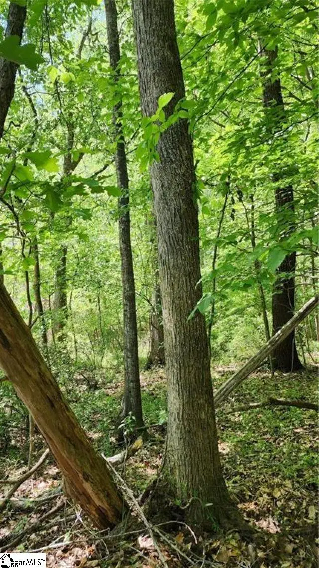 1125 Cambrige Street, Abbeville, SC 29620 - #3