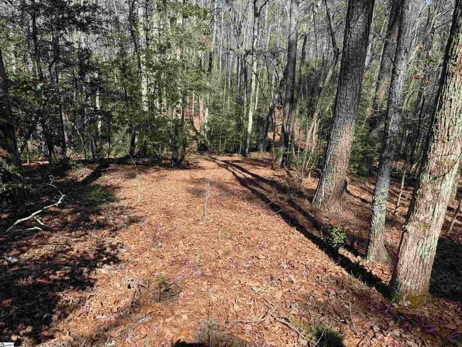 00 Golden Hickory Drive, Anderson, SC 29621 - #3