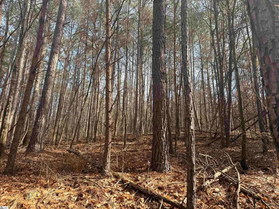 000 S Retreat Road, Westminster, SC 29693 - #2