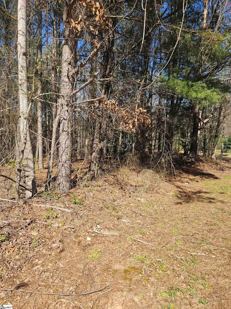 00 Hunter Mill Road, Liberty, SC 29657 - #2