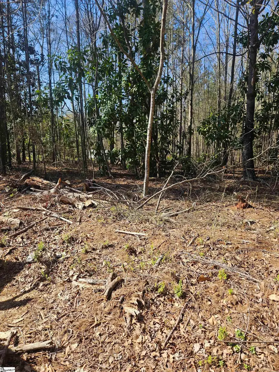 00 Hunter Mill Road, Liberty, SC 29657 - #3