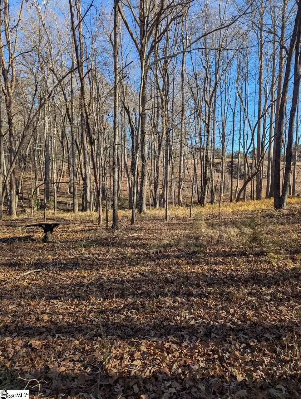 000 Pleasant Hill Court, Central, SC 29630-9016 - #1